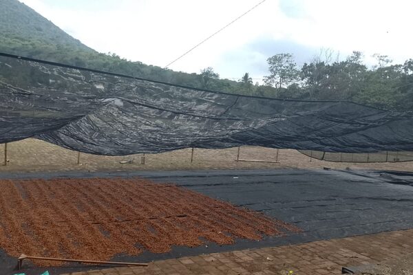 El Salvador -Cheje-