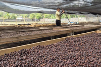 El Salvador -Cheje-
